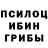 Псилоцибиновые грибы мицелий 2/1972/1981