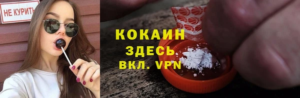 мескалин Гусев
